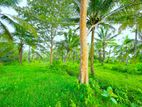 7 Acres Land for Sale in Bandaragama