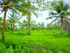7 Acres Land for Sale in Bandaragama