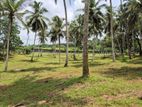 7 Acres Land For Sale In Hadapangoda