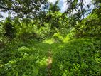 7 Acres land Sale in Hadapangoda
