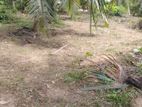 7 Acres Land with House for Sale in Kuliyapitiya