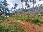 7 Acres Multipurpose Land Is for Sale in Mirigama.