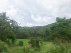 7 Acres Multipurpose Land is for sale in Mirigama