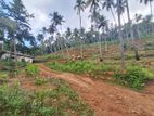 7 Acres Multipurpose Land is for sale in Mirigama.