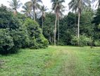 7 Acres of Cultivated Land in Mallawagedara, Pannala (SL 14363)