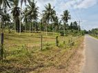 7 Acres Property For Sale in Hadapangoda