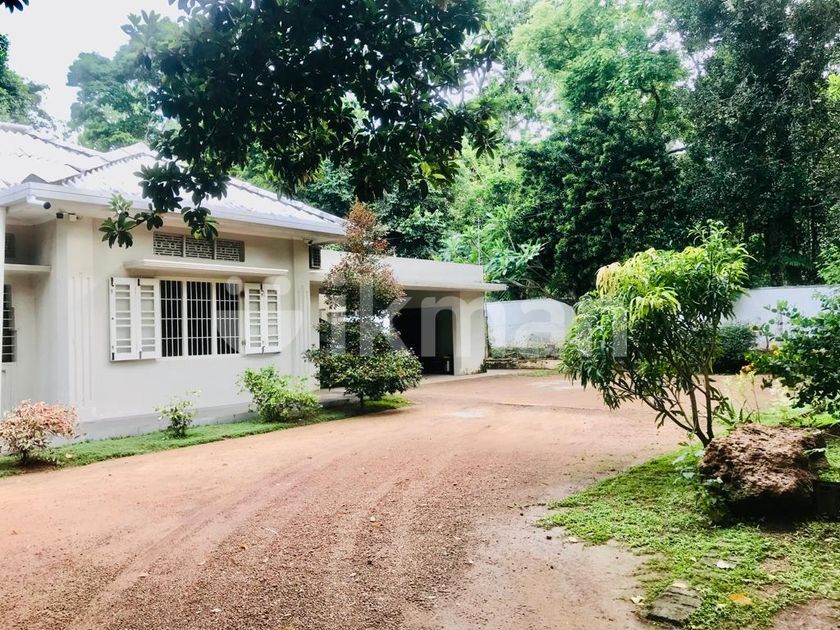 7 Bedrooms House for Lease at Piliyandala Town Area ikman