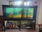 Fish Tank with Stand