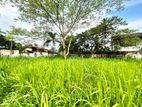 7 P Residential Bare Land For Sale In Nugegoda