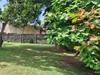 7 Perch Bare Land (2 Block) Sale In Mt Lavinia (Near Police Station)