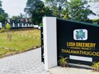 7 Perch Residential Land Plots for Sale in Hokandara