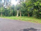 7 Perched Land for Sale in Kottawa Sirimalwaththa