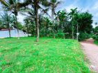 7 Perches Land for Sale in Homagama Munamale