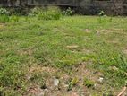 7 Perches Land Sale in Dehiwala