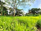 7 Perches Residential Bare Land for Sale in Kotte