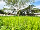 7 Perches Residential Bare Land for Sale in Nugegoda
