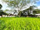 7 Perches Residential Bare Land For Sale-Kotte