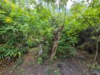 7 Perches Residential Bare Land for Sale Nugegoda