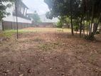 7 Perxhejs Land for Sale - Ratmalana