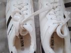 7 sizes shoes