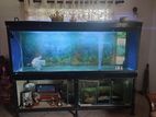 Fish Tank with Accessories