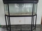 70 Gallon Fish Tank With Accessories