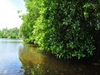 70 Perch Long River Frontage Prime Land for Sale in Hikkaduwa