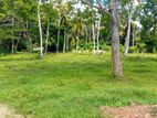 70 Perches Land for Sale Dolphin Hotel Road, Bolawatta,