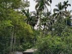 70 Perches Land with Old House for Sale in Badulla