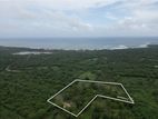 700 P Cultivated Land for Sale in Rekawa Tourism Area Tangalle
