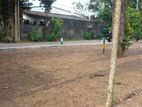 7.00 perch land for sale pelawatha town .