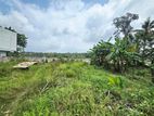 7.03P Paddy Field Facing Bare Land For Sale In Homagama