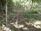 70p Land for Sale in Walasmulla, Dayarathna Road