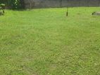 7.1 P Land for Sale Katubedda
