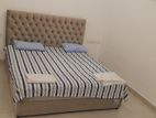 72 by 48 Divan Bed with Spring Mattress (G-16)