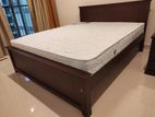 72x72 Teak Box Bed With Arpico Spring Mattress 7 Inches / 1214