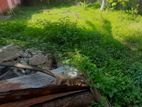 7.4 ph Land for sale in Papiliyana