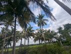 74P Coconut Land for Sale - Wariyapola, Mamunuwa.