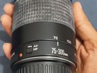 Canon 75-300 Lens