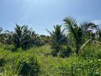 7.5 Acres Land with Young Coconut Plantation for Sale in Kosgama