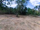 75 P Land for Sale Wariyapola Town Limit (2 Km), Kalugamuwa Rd