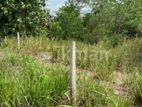 75 Perch Bare Land for Sale in Bibile Kotagama