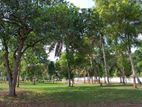 7.5 Perch Land for Sale in Ragama