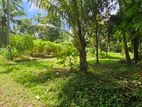 75 Perch Land Sale Near Wayamba University, Kuliyapitiya