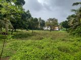 75 Perches Land for Sale in Panadura