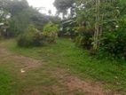 75.25P Land for Sale in Galle Road, Wadduwa (SL 13926)