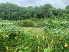 7.5p, Beautifull Land, Werahera, Boralesgamuwa