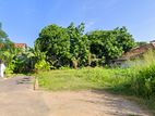 7.5P Land For Sale In Colombo 7