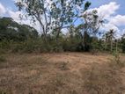 75P Land for Sale - Wariyapola Kalugamuwa Road, Ebowewa