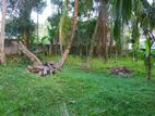 7.5P Superb Land for Sale - Malabe Town